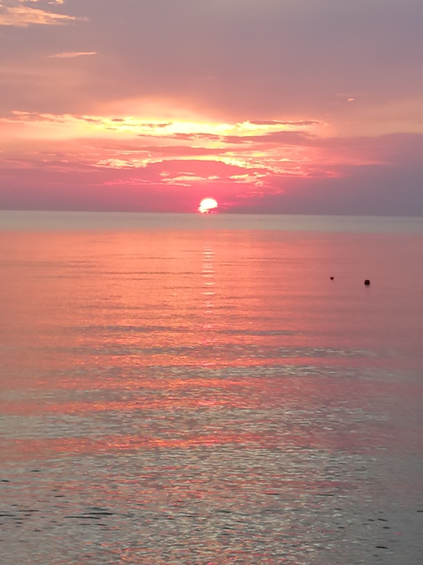 Алексей Леснов | Москва