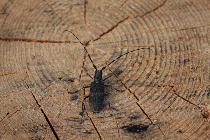 Ольга Рубель | Санкт-Петербург