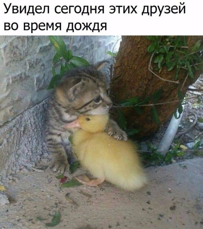 Григорий Новосельцев | Ростов-на-Дону