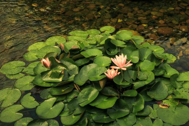 Марина Железнова | Нижний Новгород