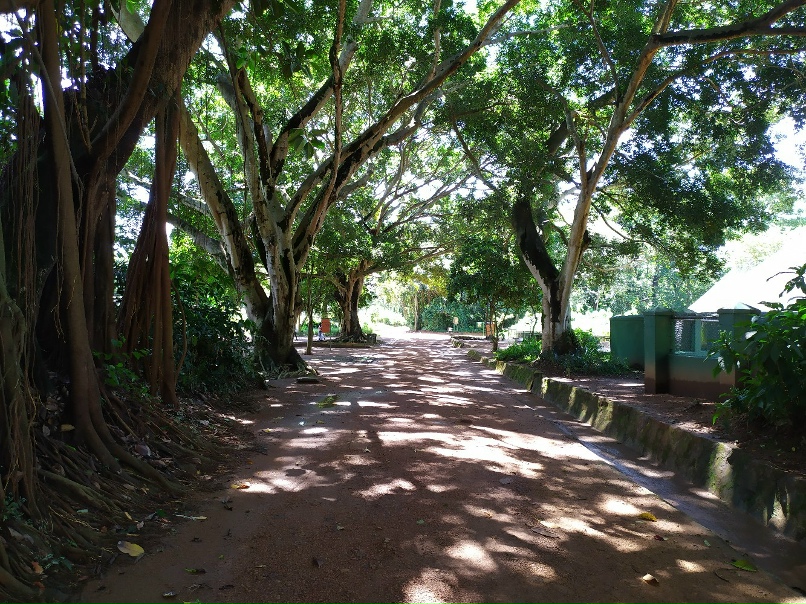 Алексей Каштанов | Миасс