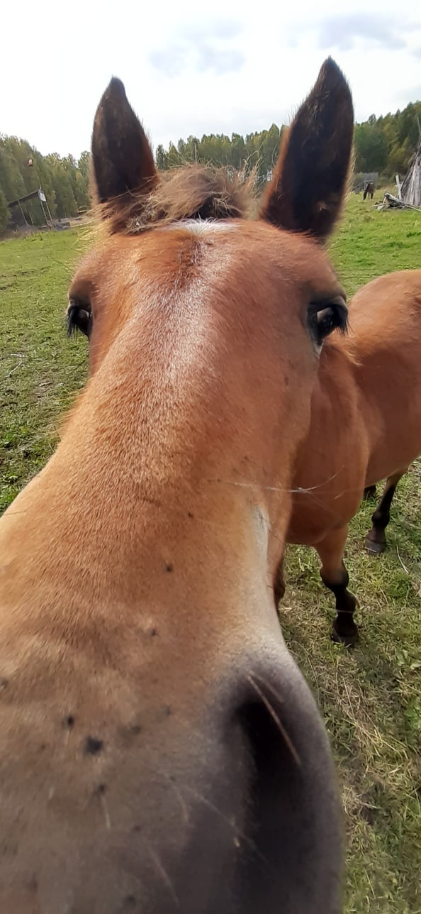 Артем Ткачук | Тюмень