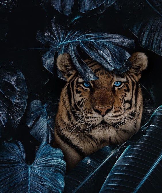 Игорь Тучин | Таганрог