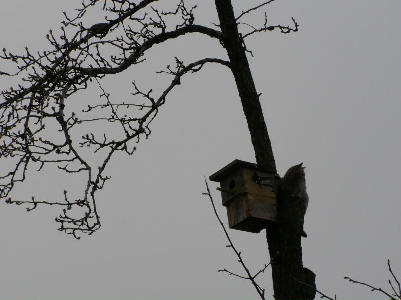 Вячеслав Круглов | Рязань