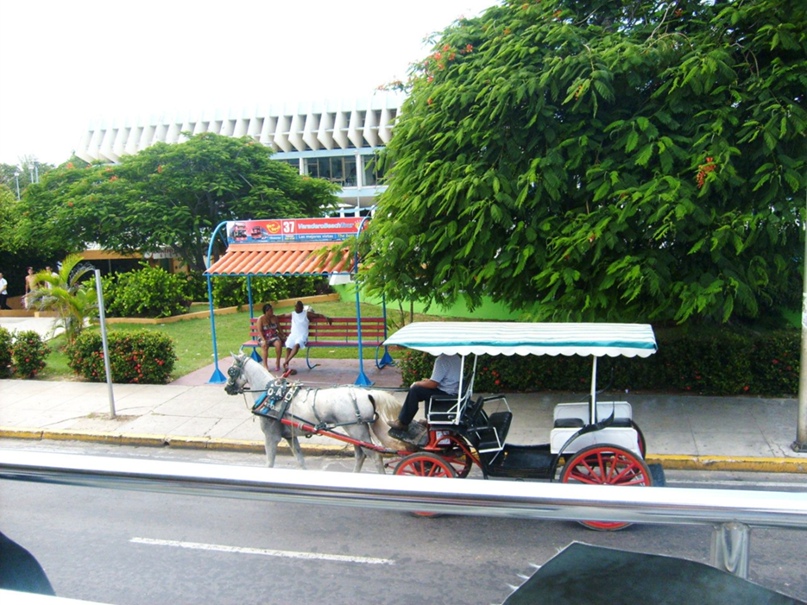 Elena Panina | Санкт-Петербург