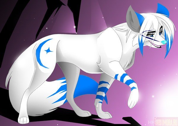 Галина Сафронова | Новосибирск