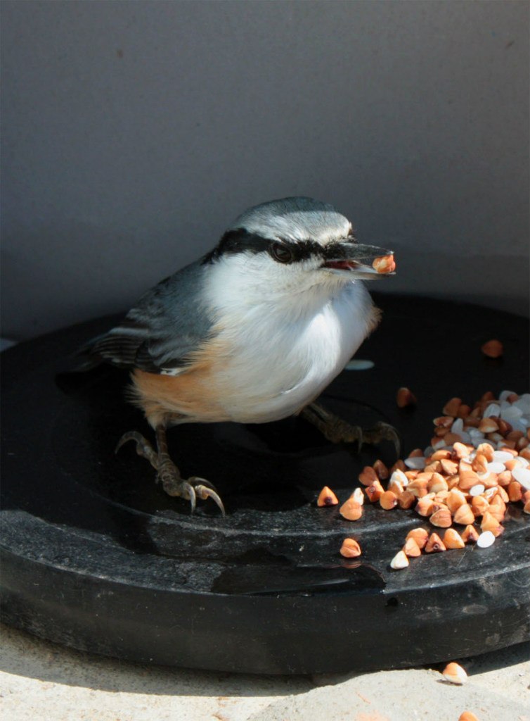 Александра Калмыкова Teav | Владивосток