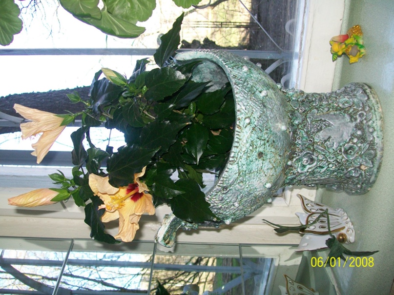 Ирина Данькова | Санкт-Петербург