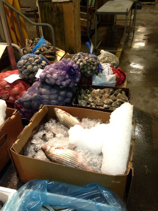 Ирина Колесниченко | New York City