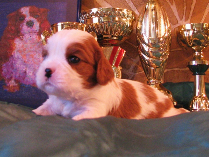 Татьяна Карасева | Санкт-Петербург