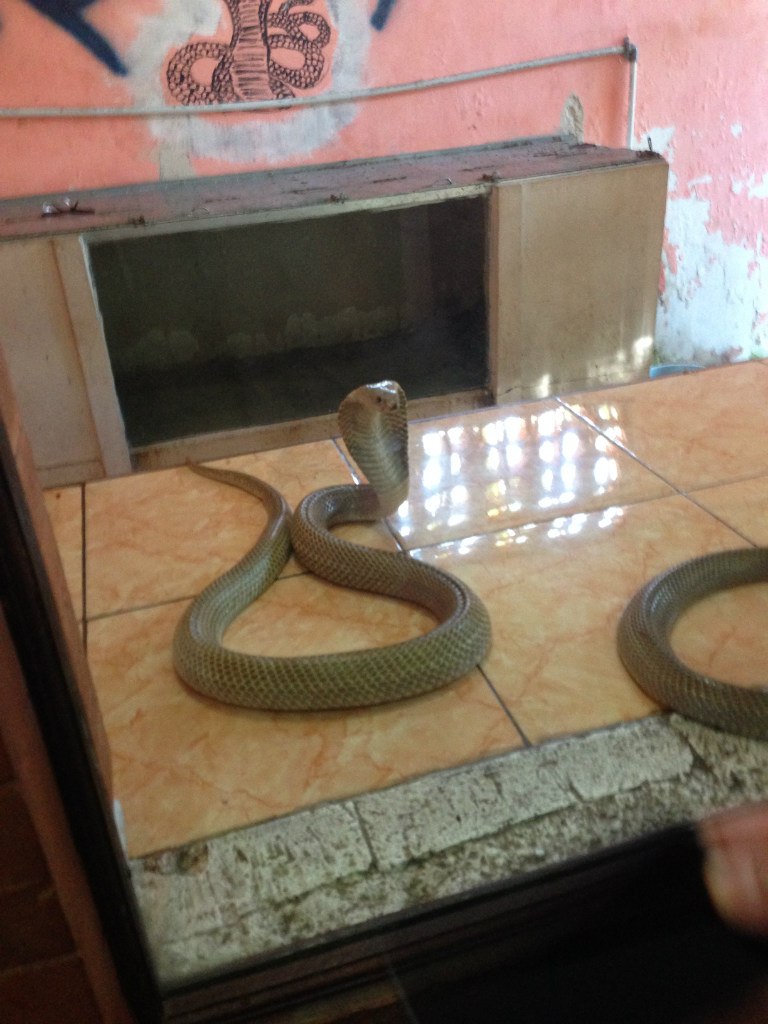 Сергей Осипенко Ozziserg | Киев