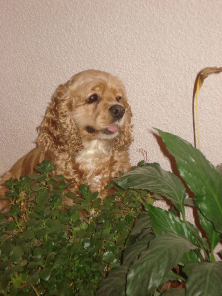 Виталий Зайцев | Краматорск