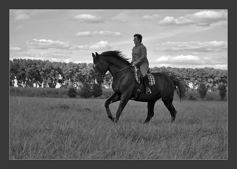 Елена Стрельченко | Киев