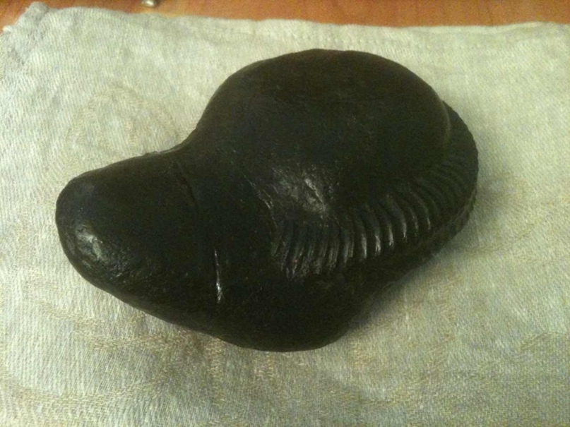 Алексей Воронин | Санкт-Петербург