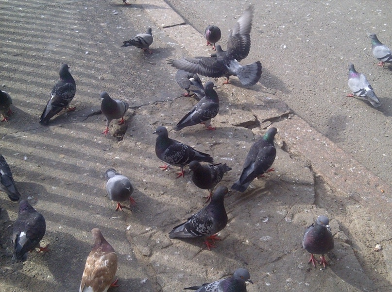 Нина Кулагина | Санкт-Петербург