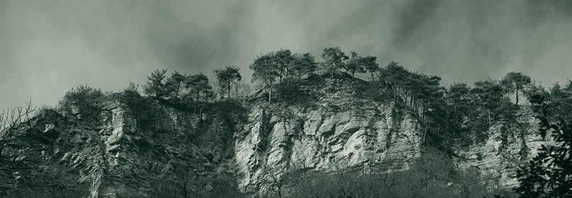 Дмитрий Талалаев | Ростов-на-Дону