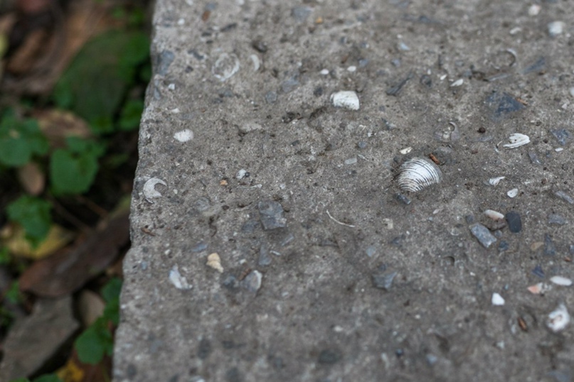 Ольга Роднова |