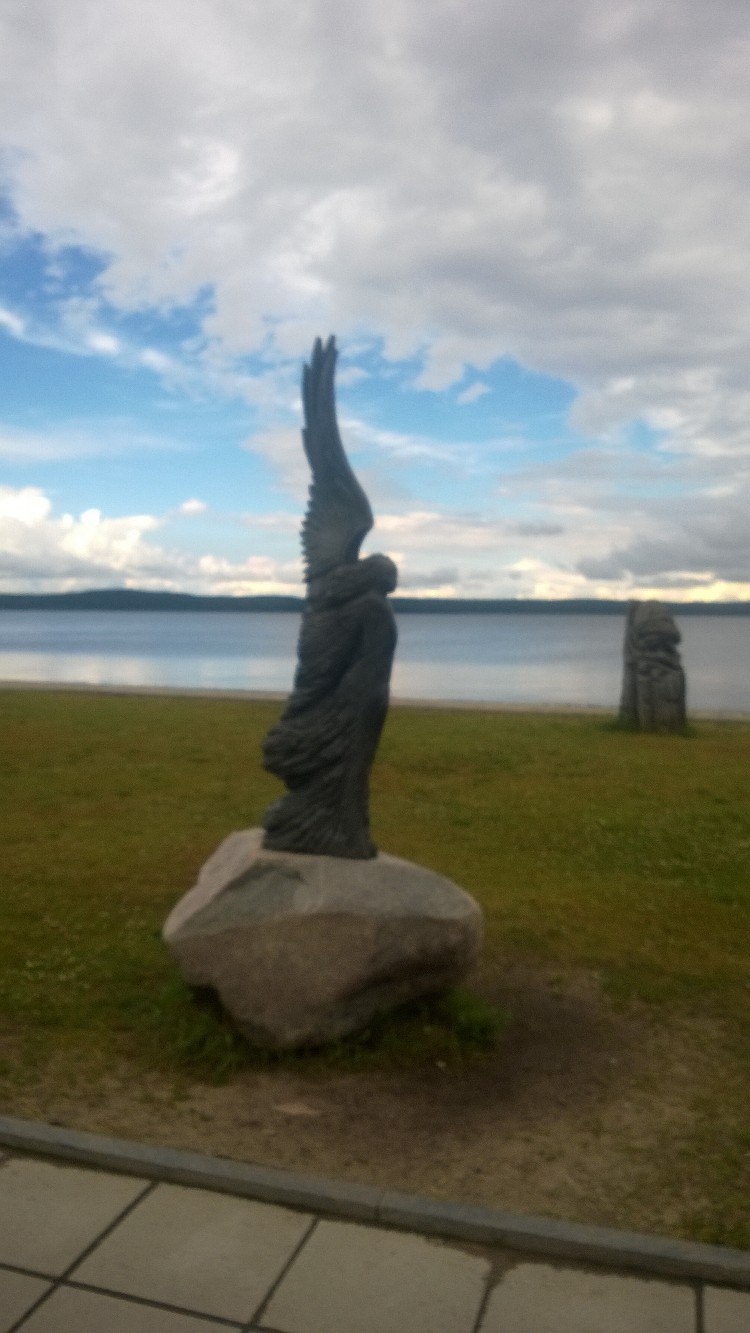 Макс Ким 外科医 | Покров