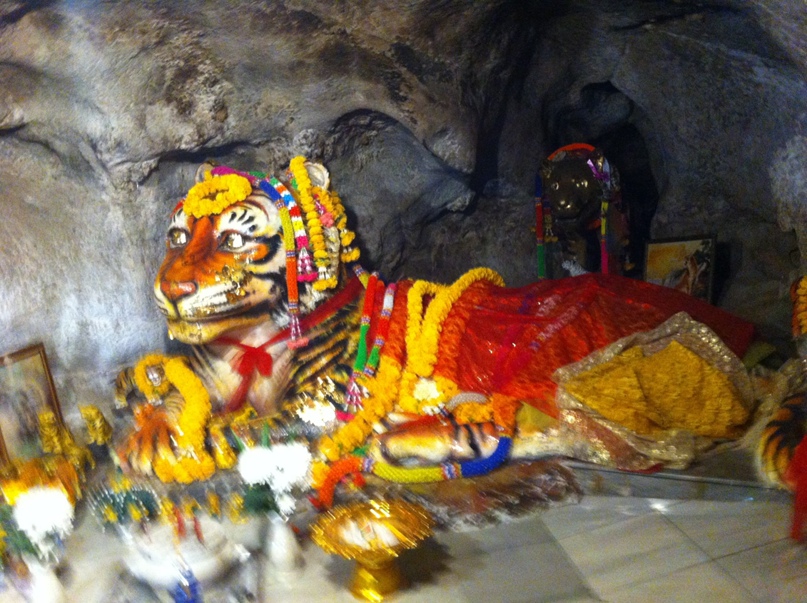 Наталья Попкова | Нижний Новгород