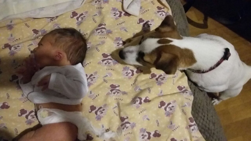 Александр Фокин | Москва