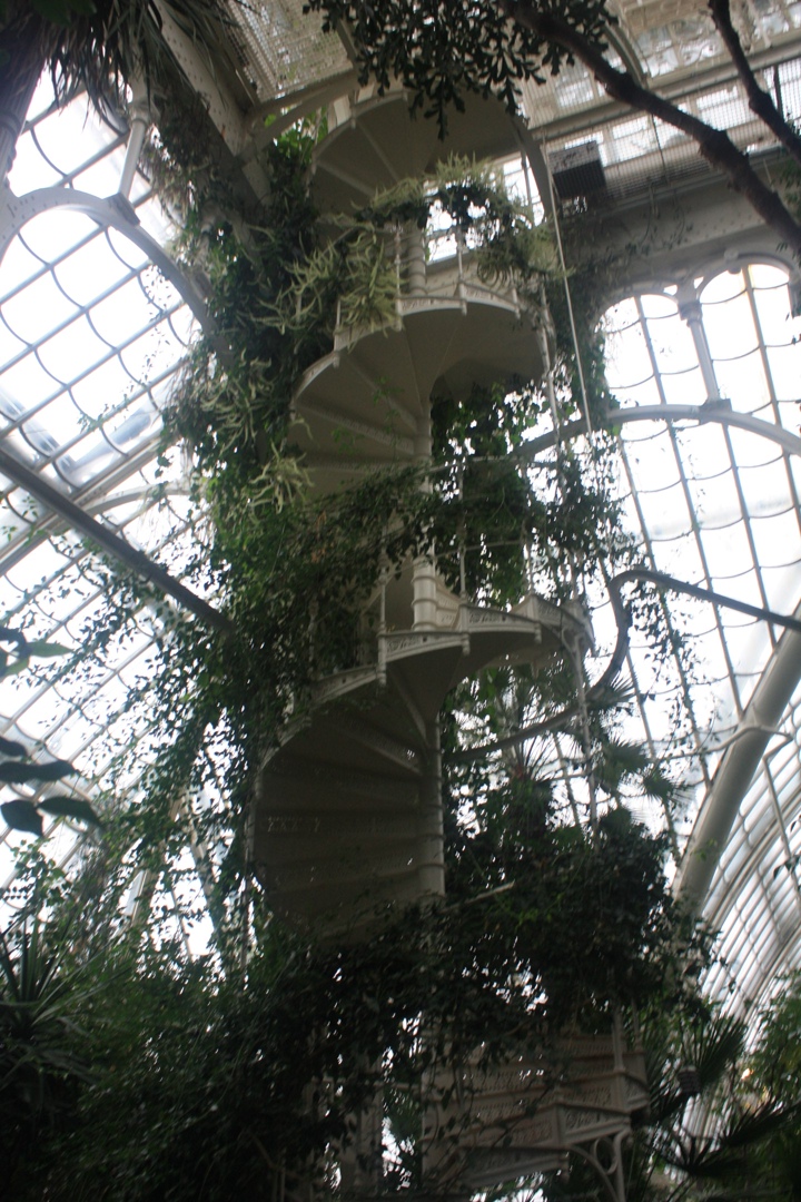 Александр Ураков | Санкт-Петербург