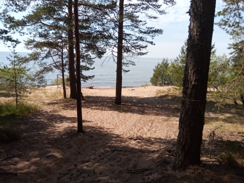 Алёна Склярова | Санкт-Петербург