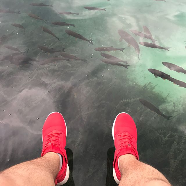 Александр Шарипов Николаевич | Одесса