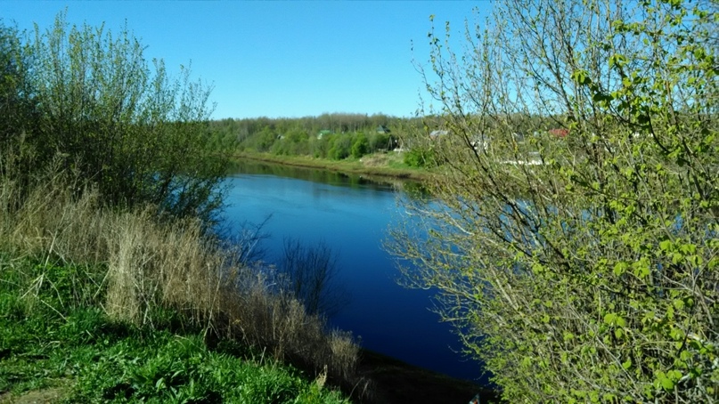 Виталий Козлов | Санкт-Петербург