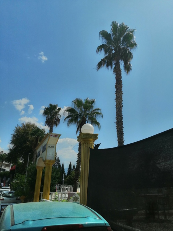 Марина Димова | Мурманск