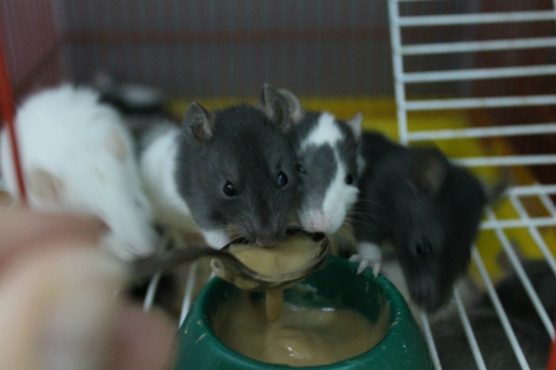 Наталья Слюсарева | Москва