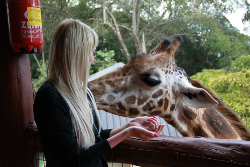 Анастасия Русанова | Краснодар