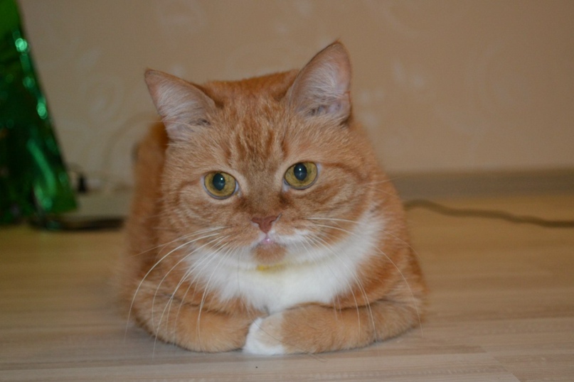 Максим Сердюков | Кириши