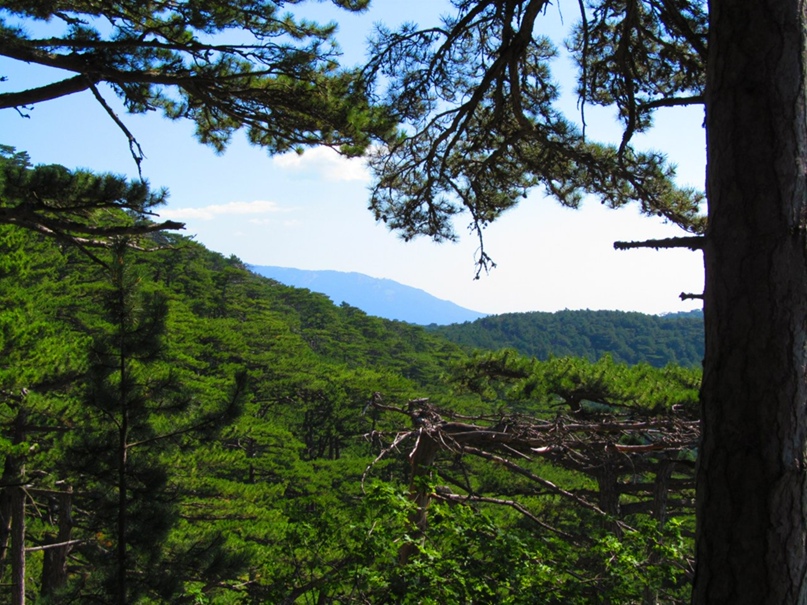 Денис Шевченко ShevcH | Харьков