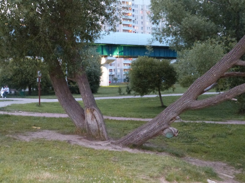 Сергей Петрунин | Ртищево