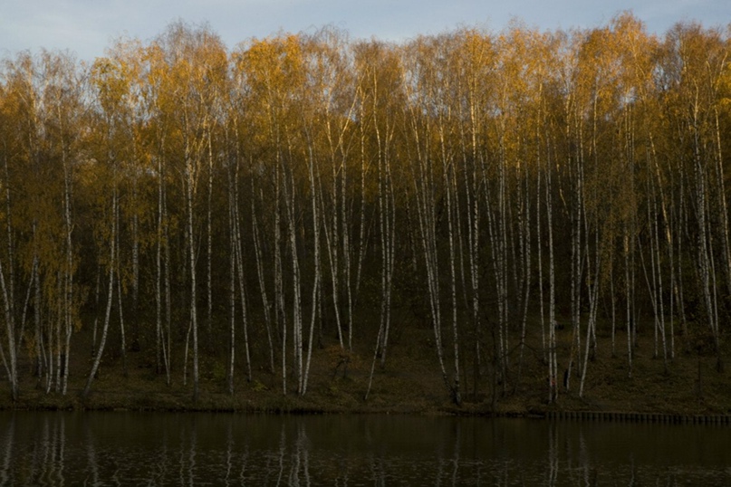 Антон Моисеенко | Москва