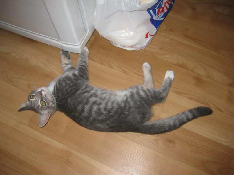 Татьяна Федоренко |