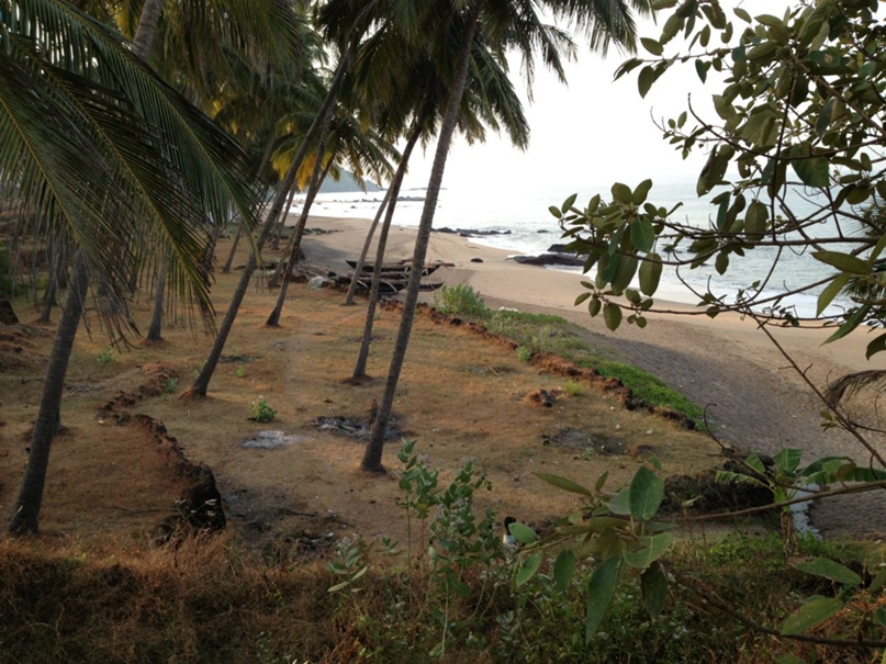 Oleg Andreev | Санкт-Петербург