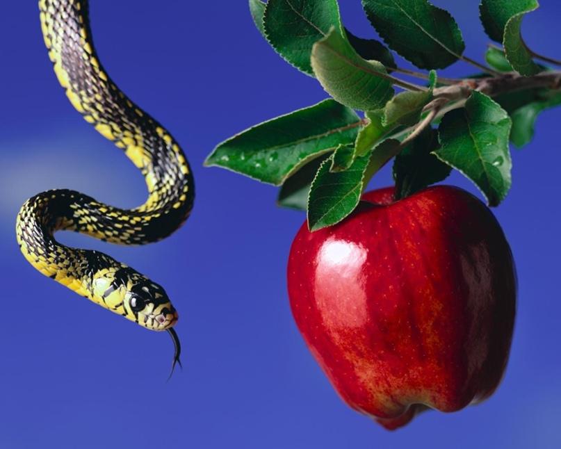 Анастасия Настина | Ростов-на-Дону