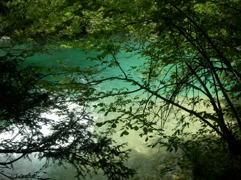 Алексей Виноградов | Москва