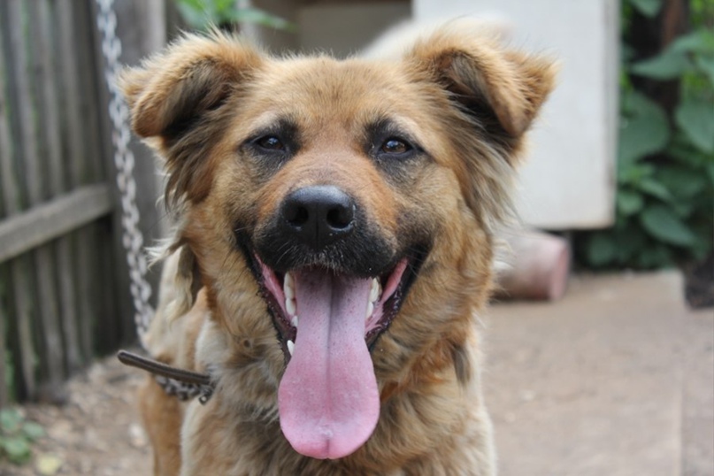 Инна Плотникова | Липецк