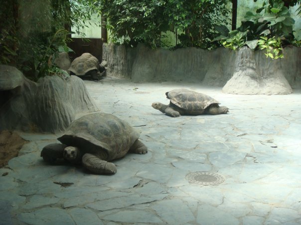 Людмила Федорова | Санкт-Петербург