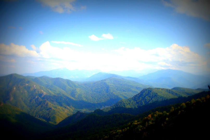 Ирина Сторчак | Михайловск