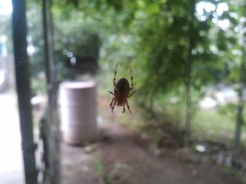 Антон Суслов | Волжский