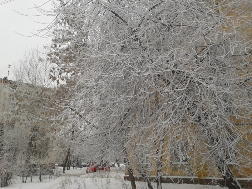 Аня Бояркина | Омск