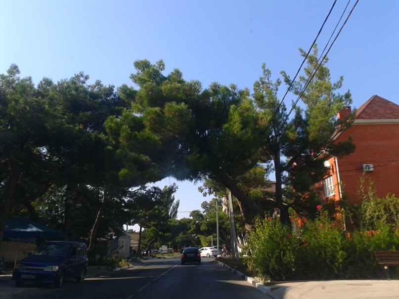 Светлана Яшина | Казань