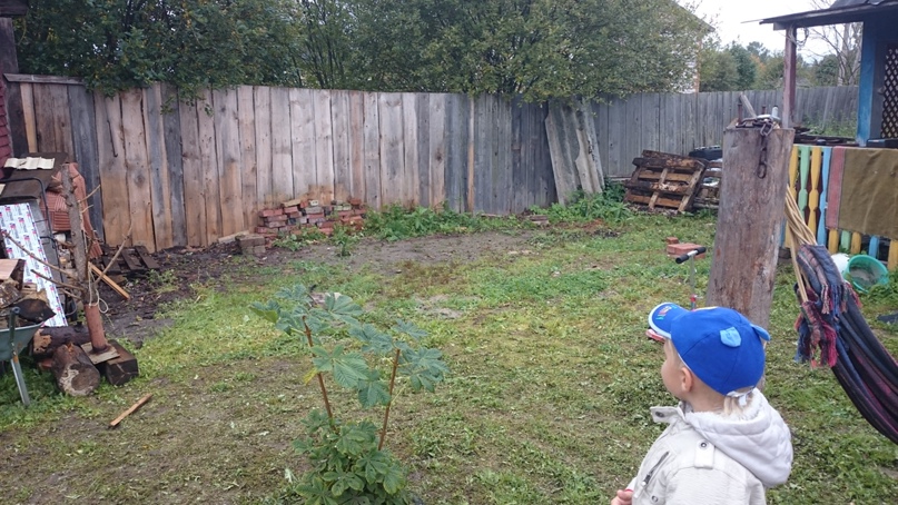 Александр Бойцов | Санкт-Петербург