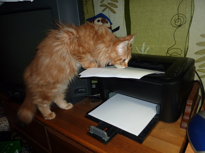 Наталья Ульянова | Москва