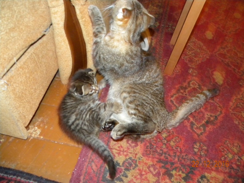 Екатерина Глазкова | Краснознаменск