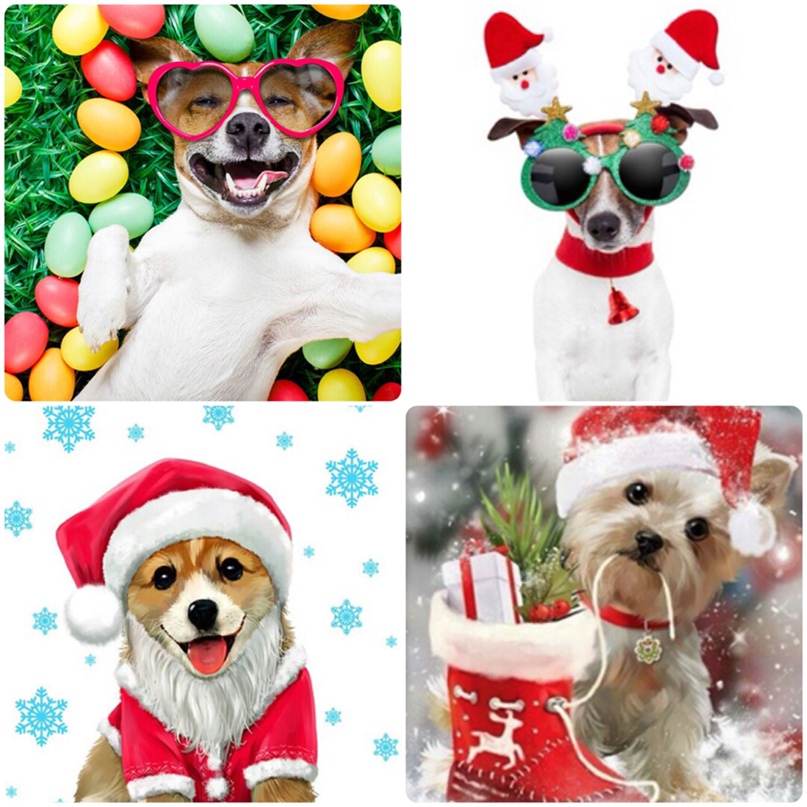 Полина Нн | Нижний Новгород