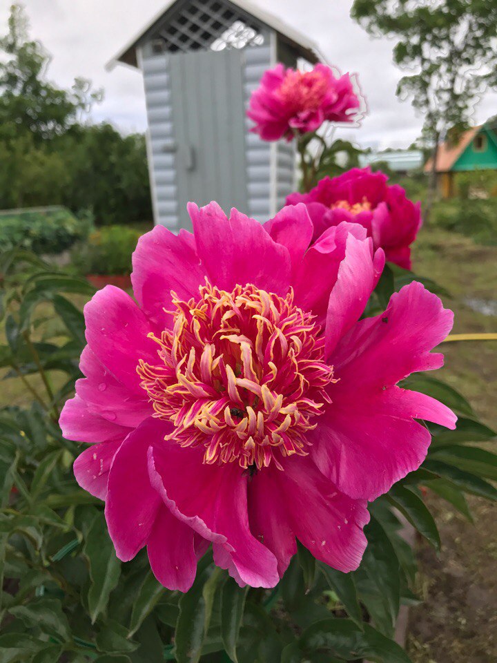 Наталья Трегубова | Петрозаводск